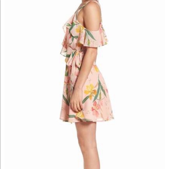 Privacy please hamlet dress - Picture 3 of 4